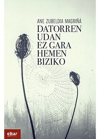 Datorren udan ez gara hemen biziko