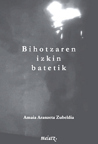 Bihotzaren izkin batetik
